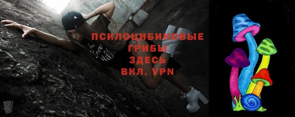 apvp Балахна